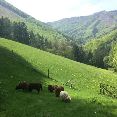 Buechlhof - App. Breitenstein Apartament *