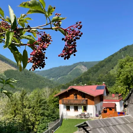 Buechlhof - App. Breitenstein *
