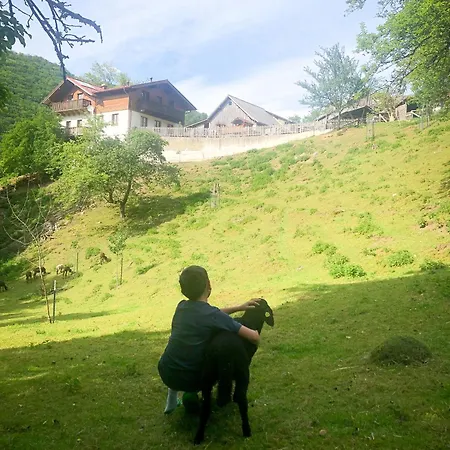 Apartamento Buechlhof - App. Breitenstein Lilienfeld