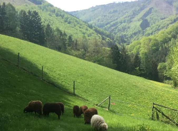 Buechlhof - App. Breitenstein Apartamento *