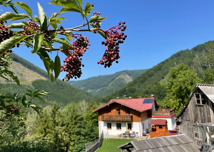 Buechlhof - App. Breitenstein *