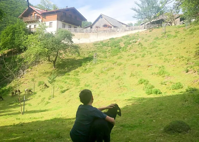 Apartamento Buechlhof - App. Breitenstein Lilienfeld